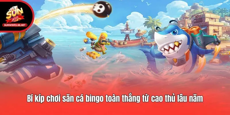 Bí kíp chơi săn cá bingo toàn thắng từ cao thủ lâu năm