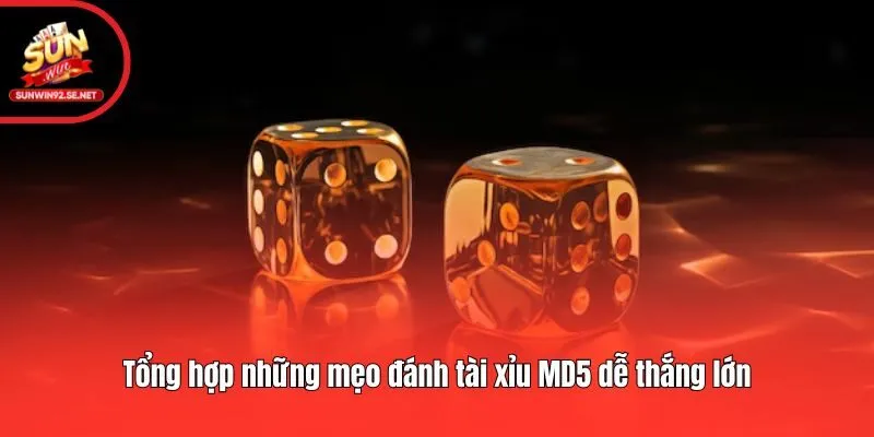 Tổng hợp những mẹo đánh tài xỉu MD5 dễ thắng lớn